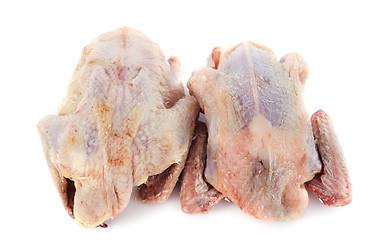 Image showing partridge meat