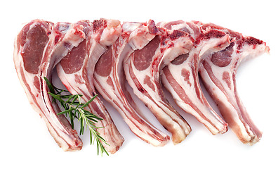 Image showing lamb chops