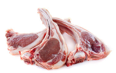 Image showing lamb chops