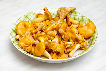 Image showing fresh chanterelles