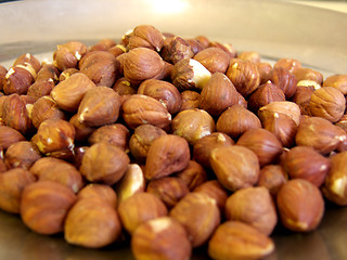 Image showing Hazelnuts