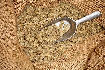 Image showing raw coffee beans