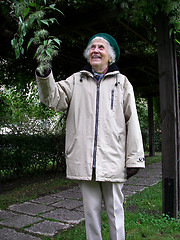 Image showing Senior Gardener