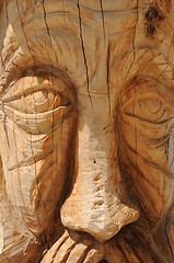 Image showing Carved in Wood