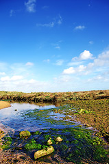 Image showing Small river and cloudy sky