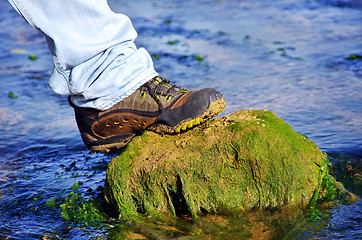 Image showing Boot on a rock in water of river