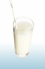Image showing Milk