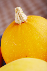 Image showing pumpkin