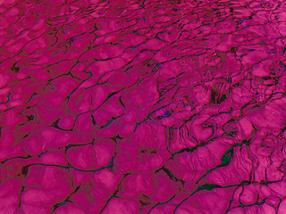 Image showing Purple organic texture