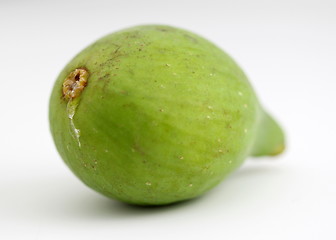 Image showing Green Fig