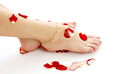 Image showing feet with petals in spa