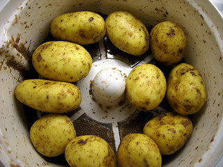 Image showing Potatoes, Peeling machine