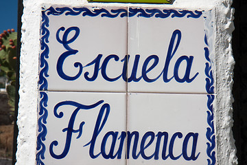 Image showing  Sign to point a flamenco school out.