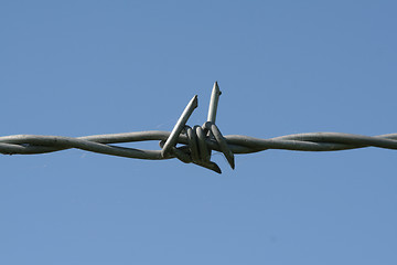 Image showing Barbed wire