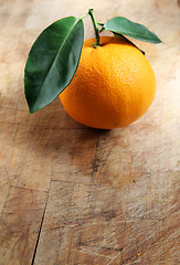 Image showing Orange on Wood