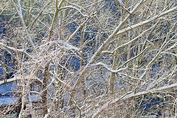 Image showing snowy landscape, winter in Russia