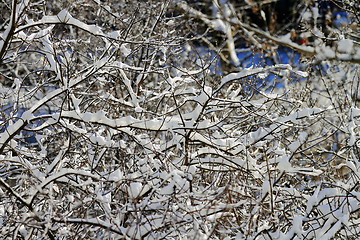 Image showing snowy landscape, winter in Russia