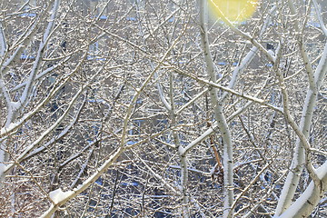 Image showing snowy landscape, winter in Russia