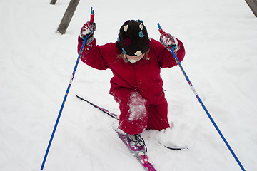 Image showing Cross Country Skiing