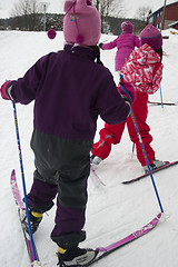 Image showing Cross Country Skiing