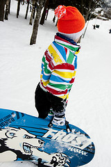 Image showing Snow Fun