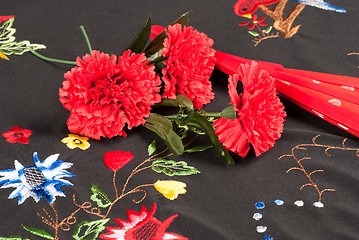 Image showing Flamenco still life