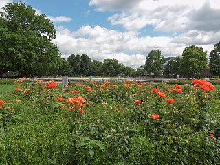 Image showing Gardens in Stuttgart Germany