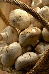 Image showing Basket of Champignons