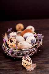 Image showing easter decoration with quail eggs on wood