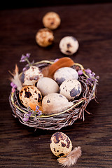 Image showing easter decoration with quail eggs on wood