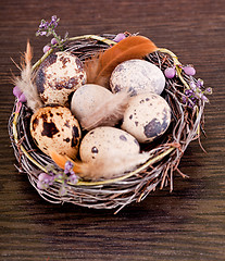 Image showing easter decoration with quail eggs on wood