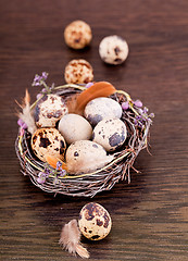 Image showing easter decoration with quail eggs on wood