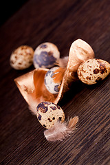 Image showing easter decoration with quail eggs on wood