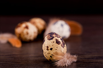 Image showing easter decoration with quail eggs on wood