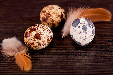 Image showing easter decoration with quail eggs on wood