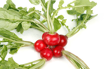 Image showing Radishes 