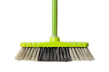 Image showing Green Broom