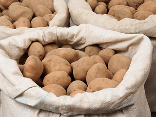 Image showing Potatoes