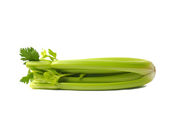 Image showing Celery on White