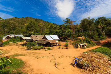 Image showing Thai jungle in Phuket 