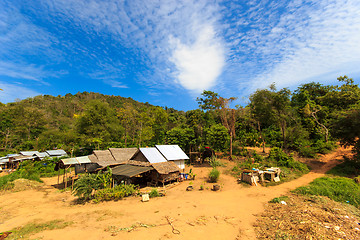 Image showing Thai jungle in Phuket 