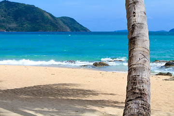 Image showing sea and coconut palm