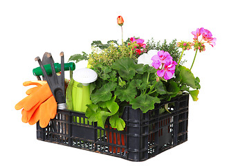 Image showing set garden flowers with tools isolated on white background 