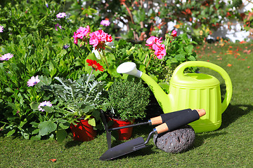 Image showing planting flowers with garden tools ,various flowers and herbs in