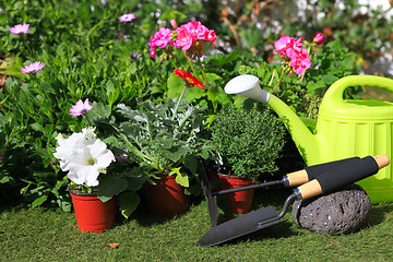 Image showing planting flowers with garden tools ,various flowers and herbs in