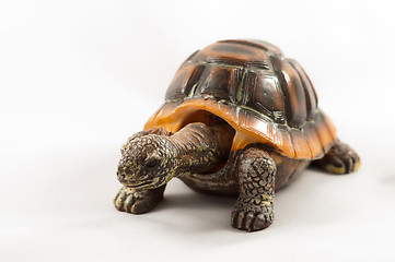 Image showing toy turtle