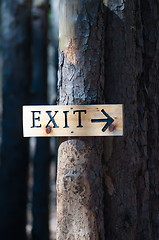 Image showing tree exit sign