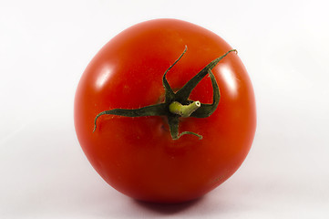 Image showing tomato isolated