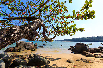 Image showing Paradisiac beach in Phuket 