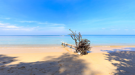 Image showing Paradisiac beach in Phuket 